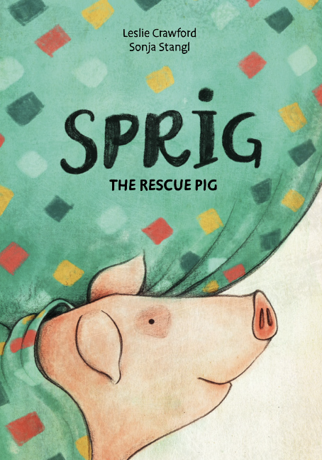 Sprig the Rescue Pig