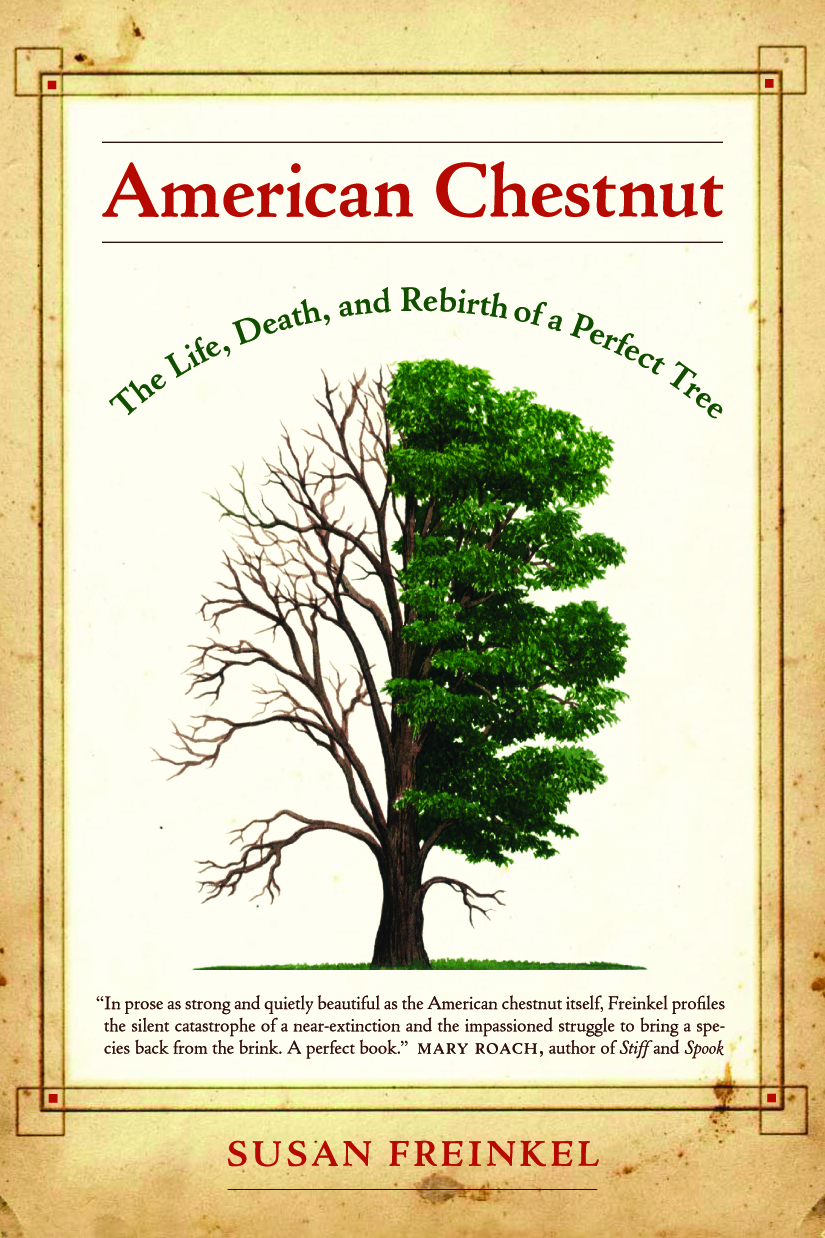American Chestnut: The Life, Death and Rebirth of a Perfect Tree